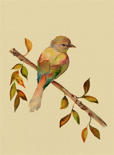 Wildlife Illustration by Colleen Parker : Photo | Watercolor bird, Bird ...