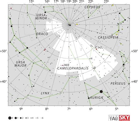 Camelopardalis Constellation: Facts & More About the Celestial Giraffe ...