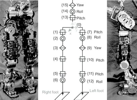 The mechanical assembly of CoMan and its joint configuration ...