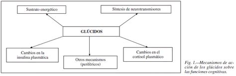 Importancia de la sacarosa en las funciones cognitivas: conocimiento y comportamiento