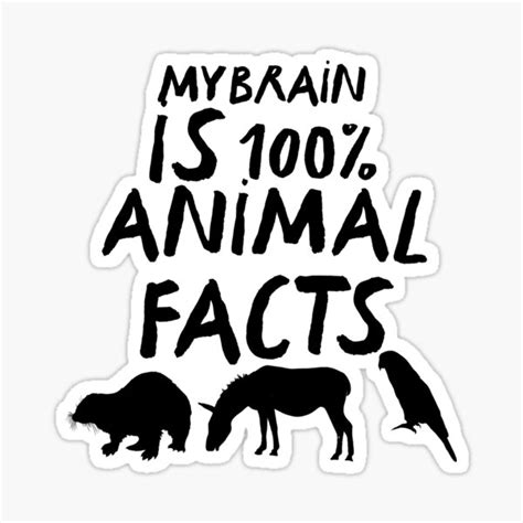 "My Brain Is 100% Animal Facts" Sticker for Sale by thezoogirl | Redbubble