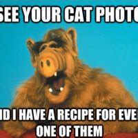 Funny Cat Eating Alf Quotes. QuotesGram