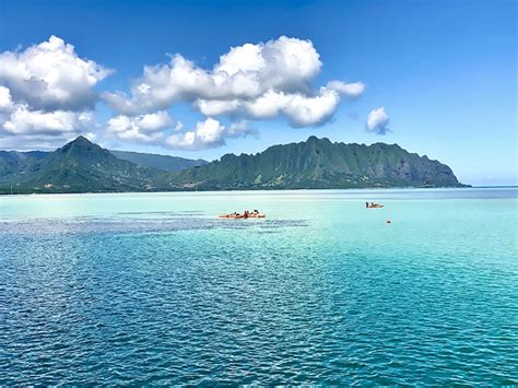 Kaneohe Bay Snorkeling: The Ultimate Guide - Hawaii Travel Guide