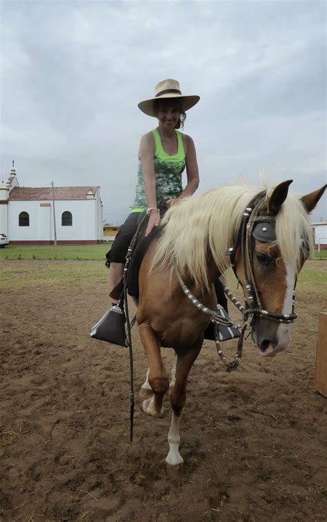 Professor Emeritus Rick Arellano: Peruvian Paso Horse Show in Trujillo, Peru