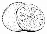 Print Grapefruit Coloring Page  Free Printable Pages sketch template