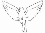 Dove Coloring Pages sketch template