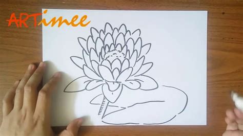 How To Draw A Lily Pad Flower