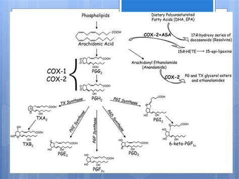 Eicosanoids