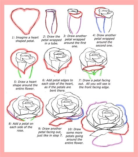 Open Rose Drawing Step By Step at GetDrawings | Free download