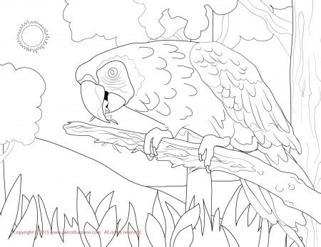 Flying Red And Green Macaw Coloring Page. Free Printable Coloring Page ...