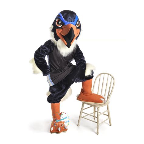 Blue Hawk Mascot Costume Professional Design