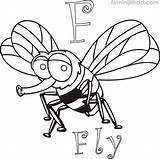 Printable Fly Coloring Pages PDF  Coloringfoldercom Animal coloring sketch template