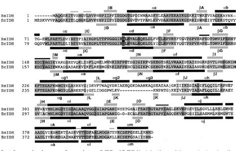 Figure 1 from Crystal Structure of Bacillus subtilis Isocitrate Dehydrogenase at 1.55 Å INSIGHTS ...