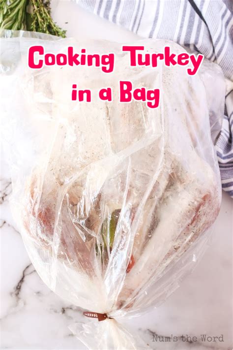 Cooking Turkey in a Bag - Num's the Word