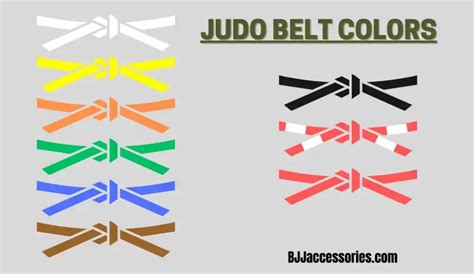 How many belts in judo? [Explained] - BJJaccessories