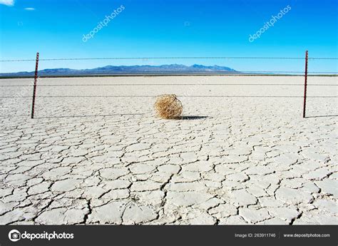 Tumbleweed Hot Dry Desert Stock Photo by ©jeremyn 263911746