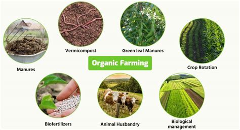 What are benefits of organic farming? 🌾