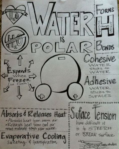 Properties of Water - Ms. Lozano's Chemsitry Class