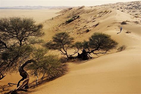 Kalahari Desert , Kalahari Desert Facts and Map, Visit Kalahari Desert ...