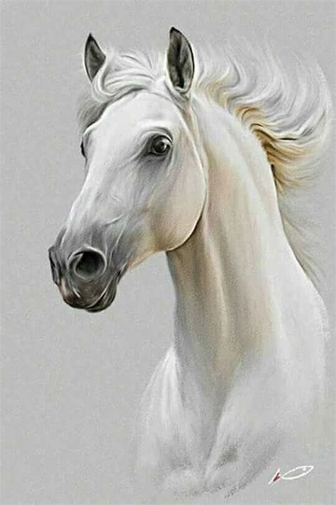 White Horse Painting by Vishal Gurjar - Pixels