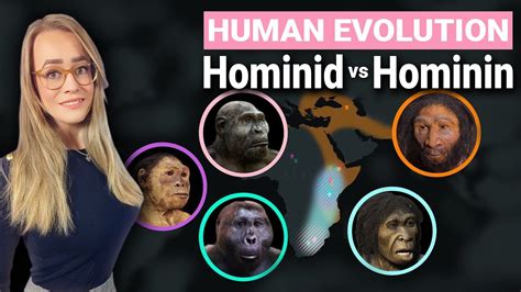 Human Evolution Explained | Hominid & Hominin Difference - YouTube