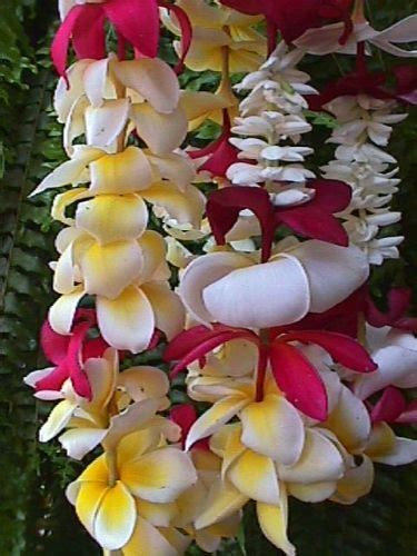 Plumeria Lei Making | Hawaiian crafts, Plumeria, Flower lei diy