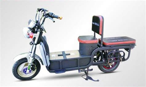 AOWA Commuter Adult Electric Bike Long Range Electric Bicycle 100 Km ...