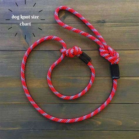 Dog Knot Size Chart: Find Out Now!