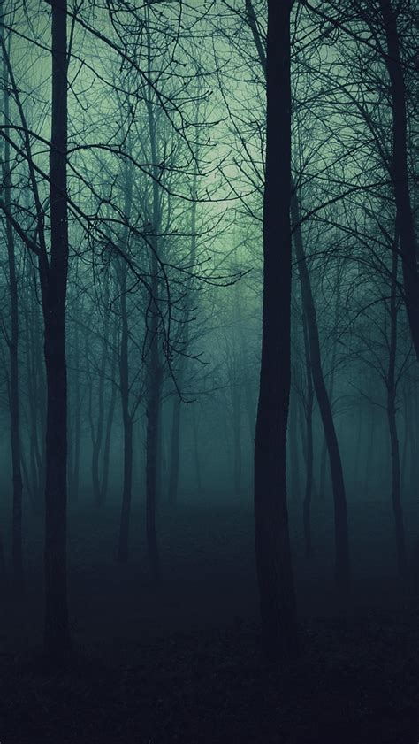 Dark Forest iPhone Wallpaper - WallpaperSafari