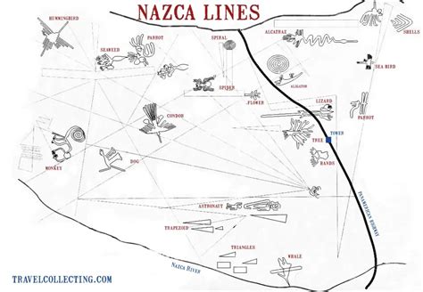 Nazca Lines Flight: A CONDOR, A HUMMINGBIRD AND A PARROT