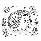 Hedgehog Coloring pages 14 Printable For Free Download sketch template