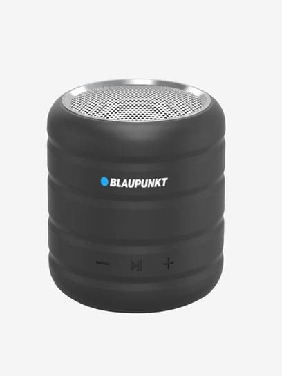 Blaupunkt bluetooth speaker - lasopacompanion