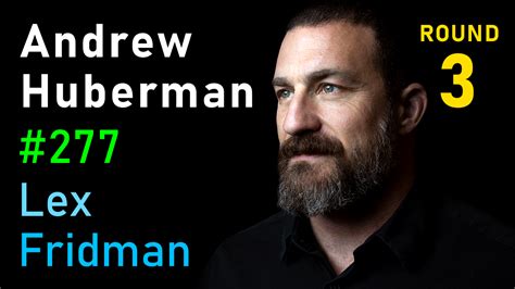 #277 - Andrew Huberman: Focus, Stress, Relationships, and Friendship | Lex Fridman Podcast