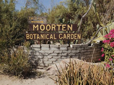 Moorten Botanical Garden - New Darlings