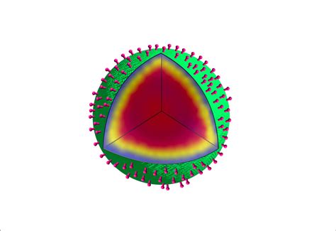 Researchers create a novel cancer drug delivery system inspired by bacterial spores | Center for ...