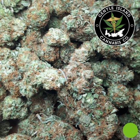 Ghost OG – Gentle Island Cannabis Co.