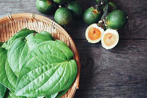 Secrets of Betel Leaf | Swarna Prashana