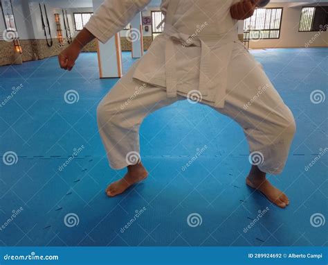 Karateka in a Kata Strike Position that Involves Attack and Defense Techniques Stock Photo ...