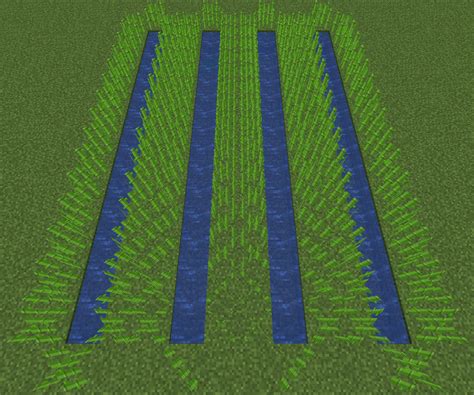 Tutorials/Sugar cane farming – Minecraft Wiki