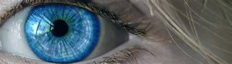 Learn About Eye Tracking for Pupillometry - Fast, Accurate, Reliable Eye Tracking