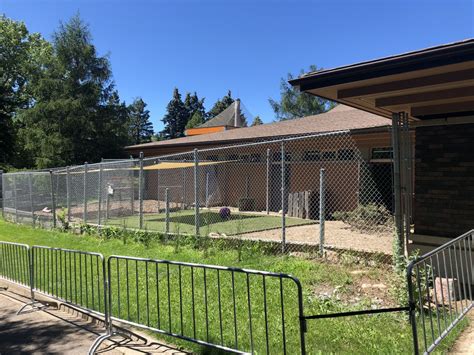 Outdoor Wallaby Enclosure at Edmonton Valley Zoo (July 2022) - ZooChat