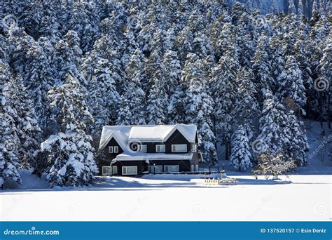 Golcuk / Bolu / Turkey, Winter Snow Landscape. Travel Concept Photo Stock Image - Image of ...