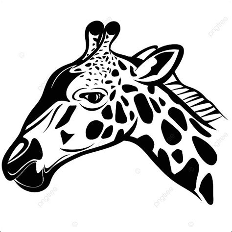 Giraffe Head 1 Vector Mammal African Vector, Vector, Mammal, African PNG and Vector with ...