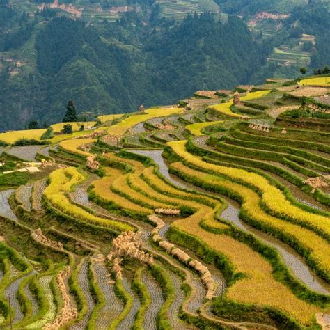 Jiabang Rice Terraces - Mountains, clouds and rice fields, the right recipe for an epic landscape.