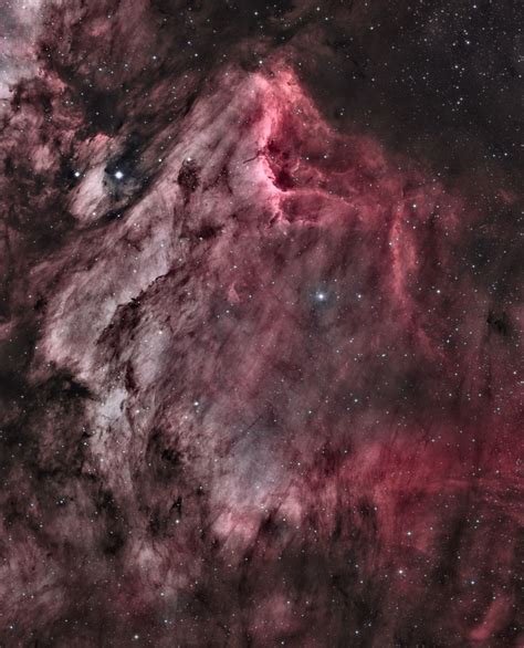 Pelican Nebula - First Light from DeepSkyWest - DeepSkyView