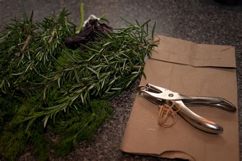 Dr. Dan's Garden Tips: Drying Your Own Herbs