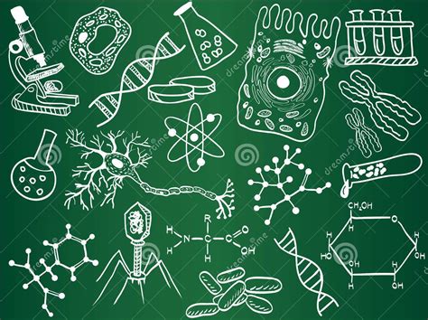 Y UNA TIZA AL CIELO: Preguntas de Biología selectividad Andalucía 2013 (propuestas y criterios ...