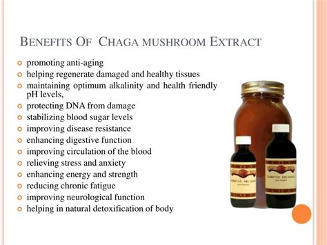 PPT - Chaga mushroom Extract & it’s awesome health benefits PowerPoint Presentation - ID:7166486