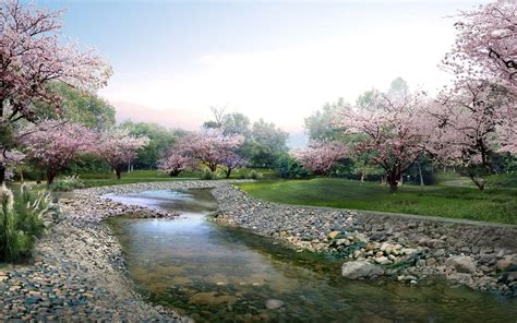 Serene Spring River HD Wallpaper