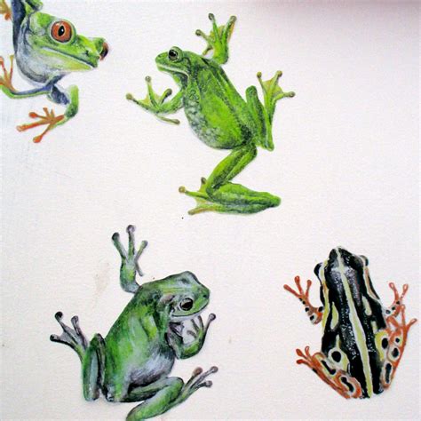 Frog Wall Stickers Frog Decals Frog Wall Decor Tree Frog - Etsy